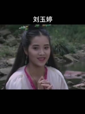 刘玉婷演过哪些电视剧或电影？盖世豪侠里的赵虹是谁扮演的？ 