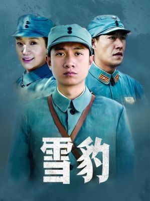 电视剧《雪豹》的演员名单？电视剧雪豹演员介绍？ 