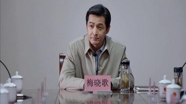 县委大院梅晓歌姐姐是谁演的？云怒行动梅小姐谁演的？ 