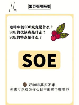 soe的意思？v国代表什么？ 