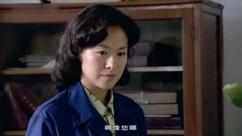 文丽主演的电视连续剧？推荐些台湾的婚姻伦理剧呗？ 