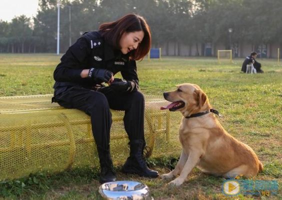 《警花与警犬》李姝寒是谁演的，李姝寒饰演？关晓彤出演过什么作品？ 