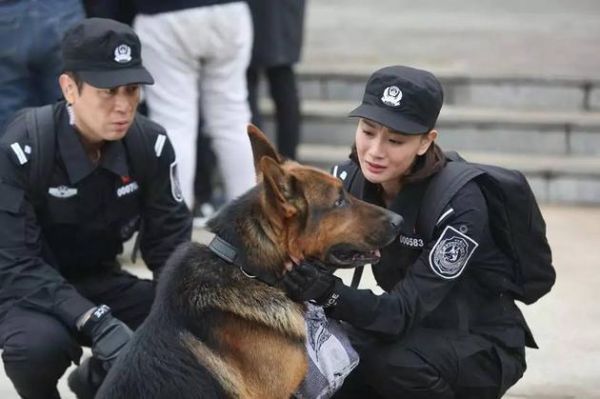 警花与警犬有没有杨梓墨？红狐电视剧上官晴岚扮演者？ 