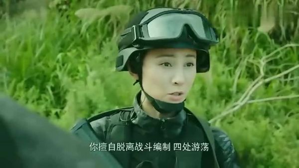 特战行动李丽是江珊扮演的吗？反恐特战队天狼艾尔莎扮演者是谁？ 