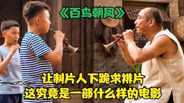 如何评价电影《百鸟朝凤》？甜蜜皮鞭女演员 