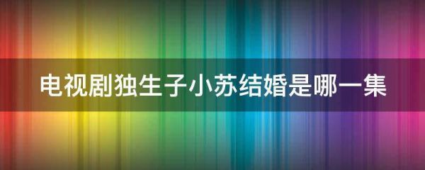 独生子小苏和萌萌结局？林小苏结局 