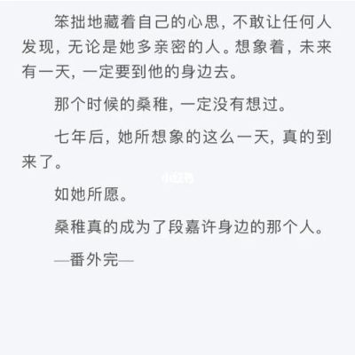 桑稚段嘉许小说大结局全文阅读？是谁偷走我的心 结局 