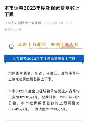 上海外地户口60岁社保只缴了12年可以转灵活就业人员缴费吗？60岁的上海女演员 