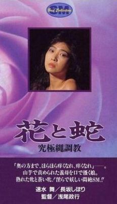 日本电影有哪些比较好看？花与蛇女演员 