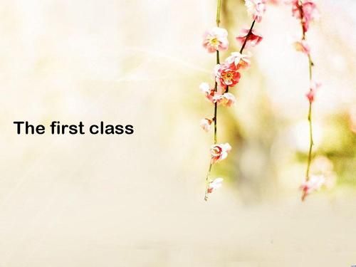 the  first  class是第三人称吗？first class结局 