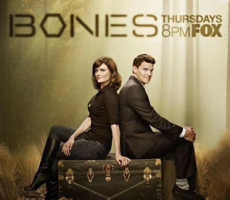 推荐下类似于《bones》、《lietome》的美剧？类似爱情2的结局 