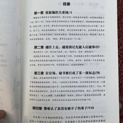 侯卫东官场笔记杨兰结局？杨兰的结局 