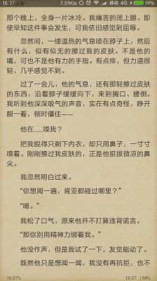 丁墨的《独家占有》最终结局有没有在一起啊！有两部哦？独家占有 大结局 